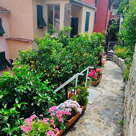 Affittacamere Fiorella Riomaggiore Dış mekan fotoğraf